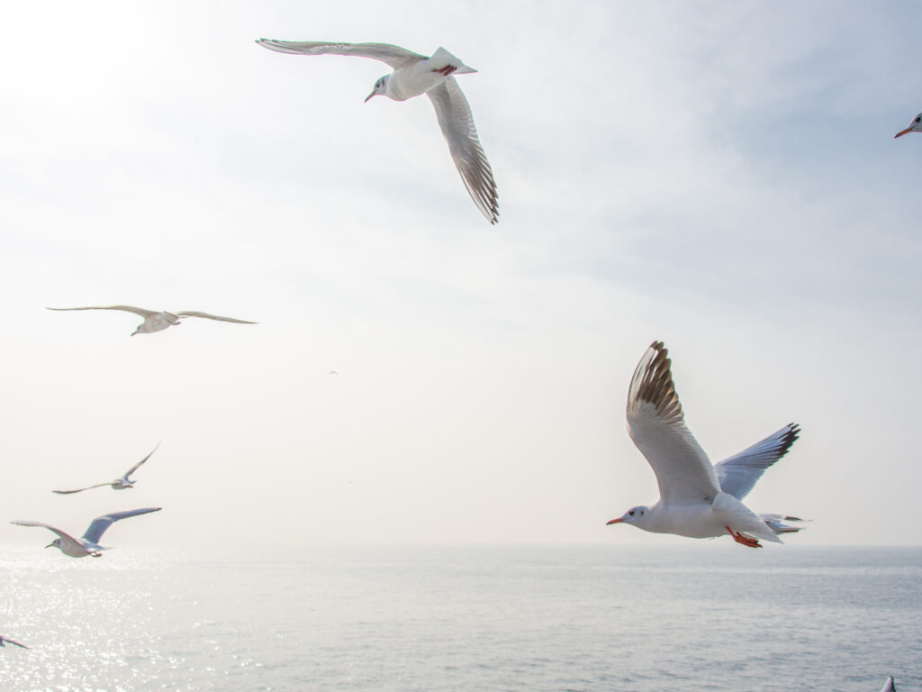 shutterstock_179148278