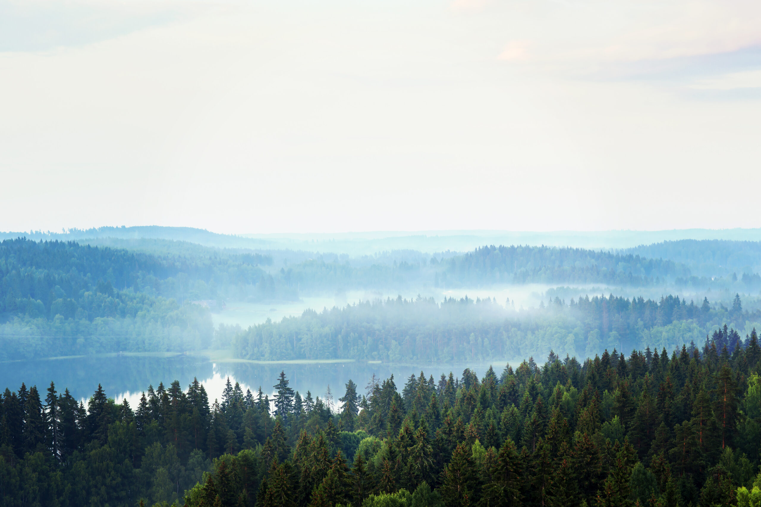 shutterstock_291693440